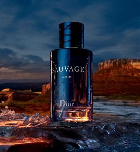 dior sauvage eu de parfum|dior sauvage cheapest price.